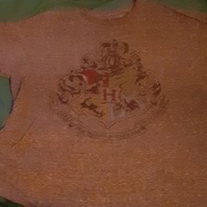 Harry potter Hogwarts shirt